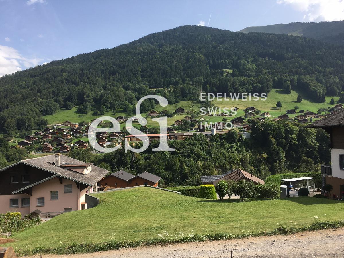 Dozon - 29.08.2017 - 5