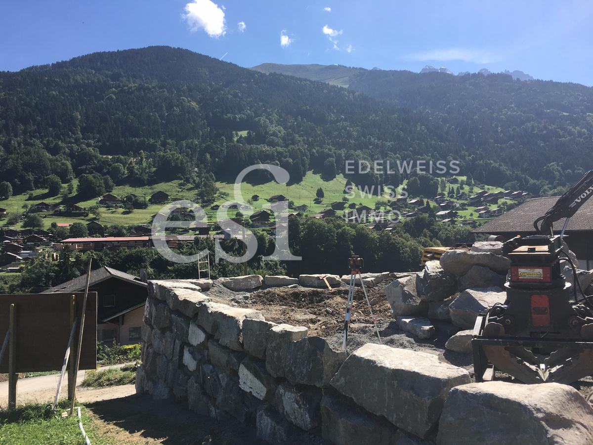 Dozon - 05.09.2017 - 3