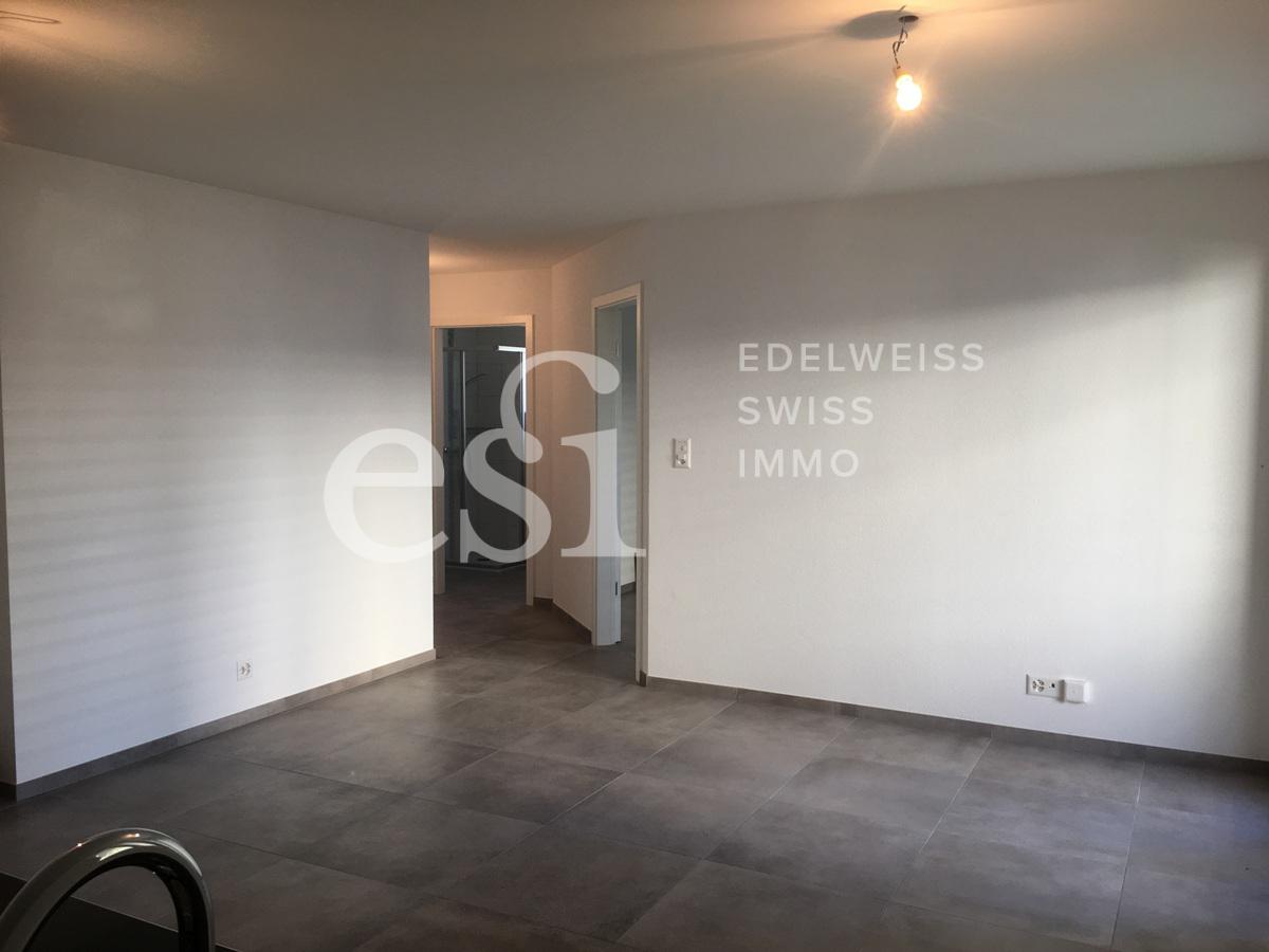 Saxon - 12.10.2017 - 12