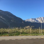 Saxon - 12.10.2017 - 22