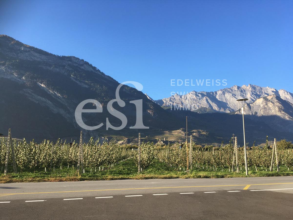 Saxon - 12.10.2017 - 22